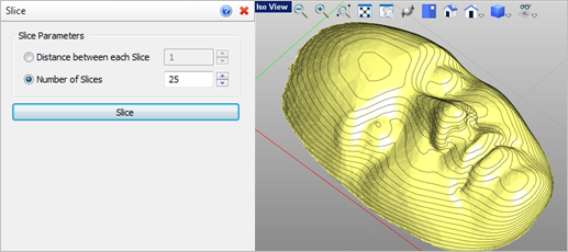 Optional Slice Parameters