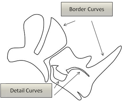 Border curves and detail curves that are selected in the example