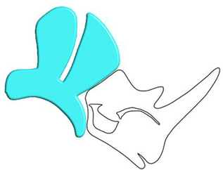 Volume Swept with "Fill Inside if Closed" option